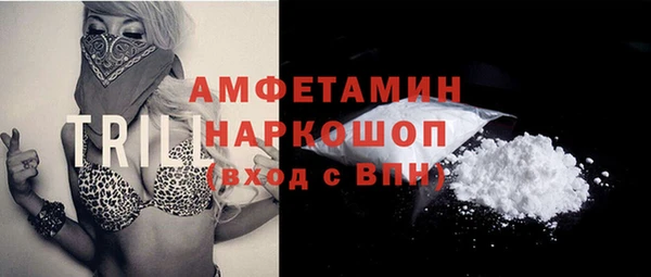 крисы Надым