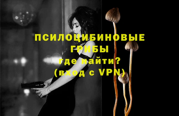 соль ск Навашино