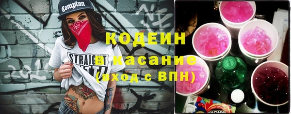 крисы Надым