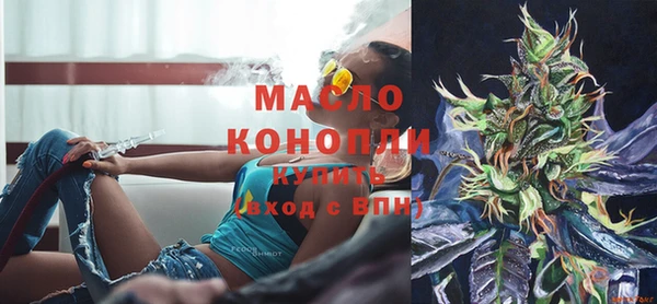 крисы Надым