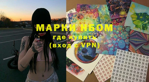крисы Надым
