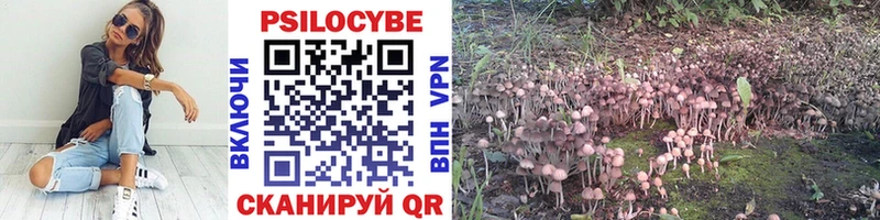 Псилоцибиновые грибы Psilocybe  Благовещенск 