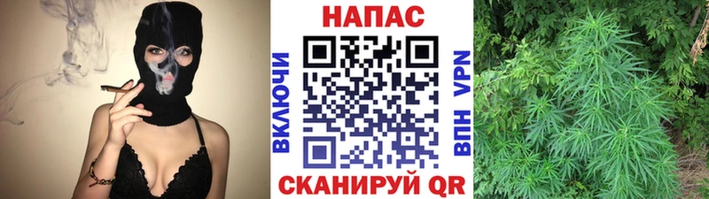дарнет шоп  Благовещенск  Канабис ГИДРОПОН 